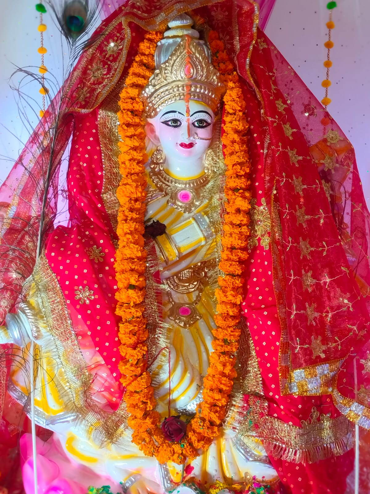 WhatsApp Image 2026 02 26 At 16 44 16 (2)